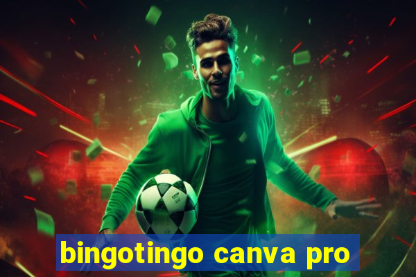 bingotingo canva pro